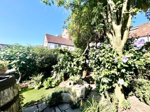 Garden- click for photo gallery